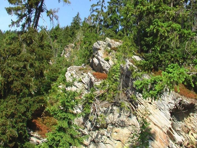 Lezení