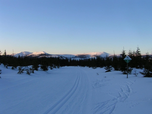 Cross-country skiing