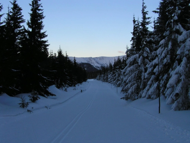 Cross-country skiing