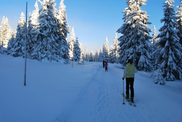 Ski Touring