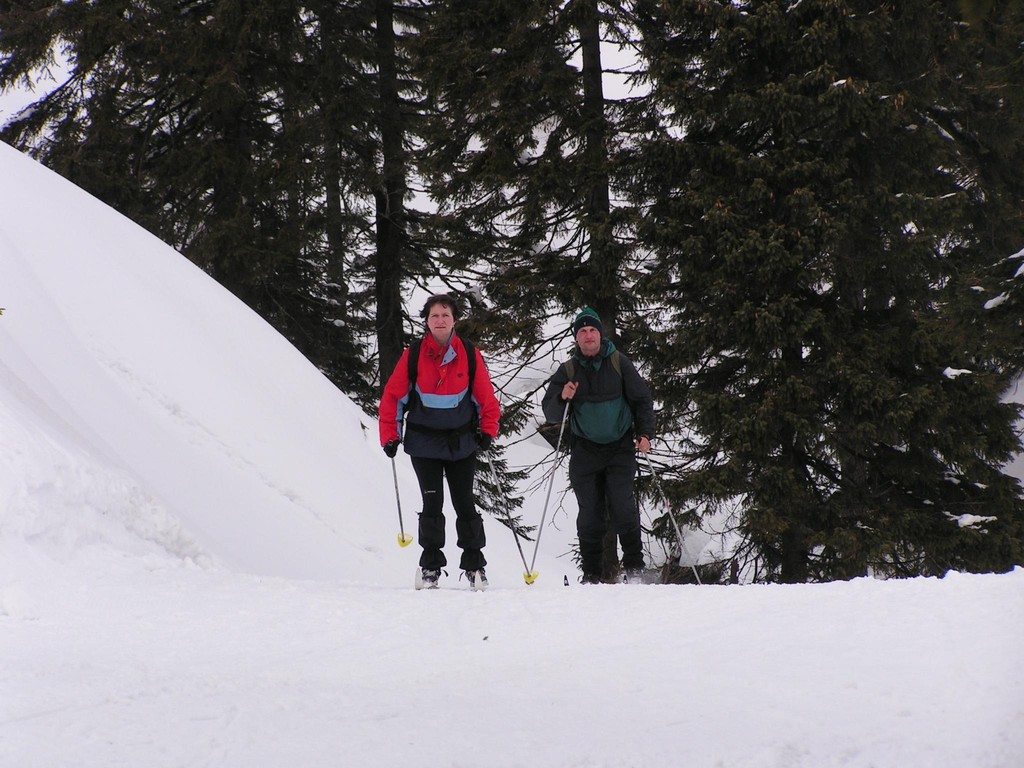 Cross-country skiing